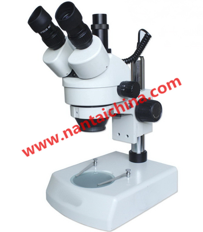 Ordinary Discount Salt Spray Environmental Test Chambers - NO.1073A  Binocular microscope – Taian Nantai